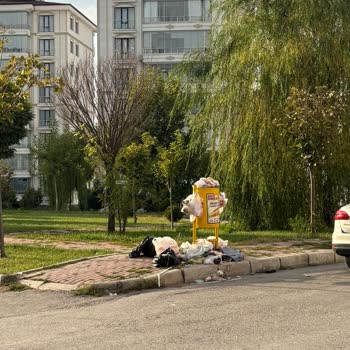 Elazığ Çayda Çıra Mahallesi'nde Çöp Konteynerleri Günlerdir Temizlenmemiş