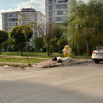 Elazığ Çayda Çıra Mahallesi'nde Çöp Konteynerleri Günlerdir Temizlenmemiş