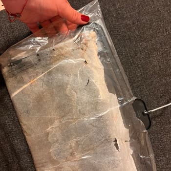 Mango Uygulamasından Gelen Pantolonun Küflü Ve Hijyenik Olmayan Durumu