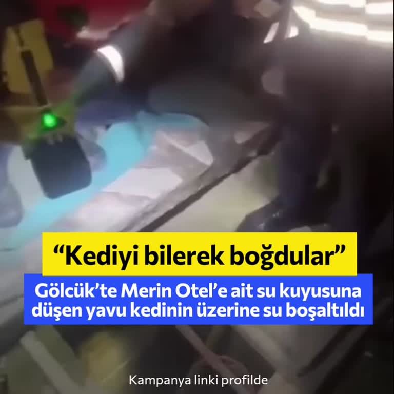 Melin Otel Bahçesindeki Su Kuyusunda Yavru Kedinin Bilinçli Olarak Boğulması
