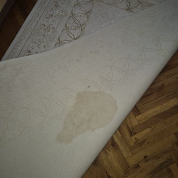 Kirli Halı Teslimi Ve Bilgilendirme Eksikliği