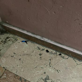 Kablonun Kesilmesi Nedeniyle 3 Hafta Süren İnternet Kesintisi Ve Acil Çözüm Talebi