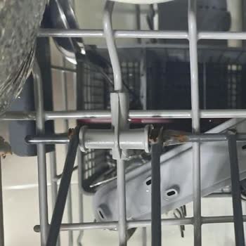 Eki aç