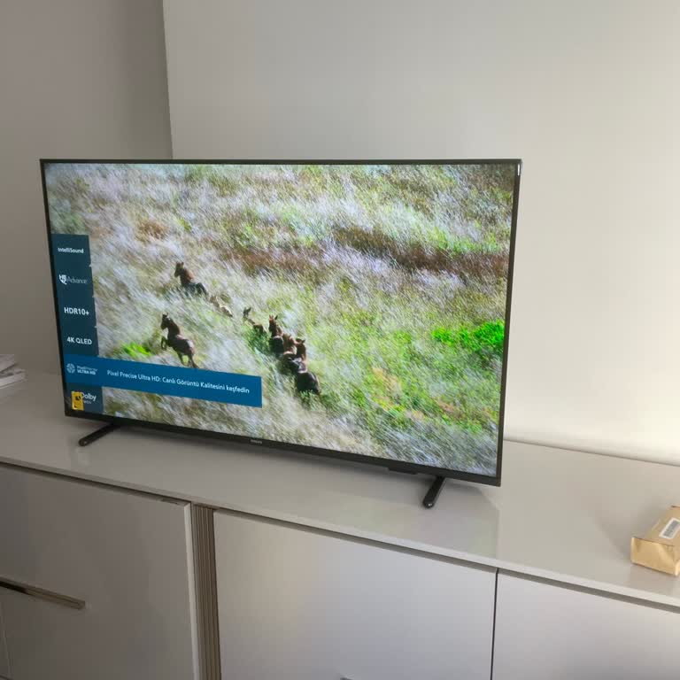 Kullanılmış Televizyon Satışı Ve İade Talebi