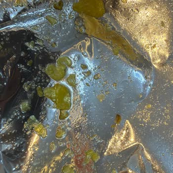 Aşırı Yağlı Lays Cipsi Çocukları Hastalığa Sürükledi, Markanın Umursamaz Tutumu