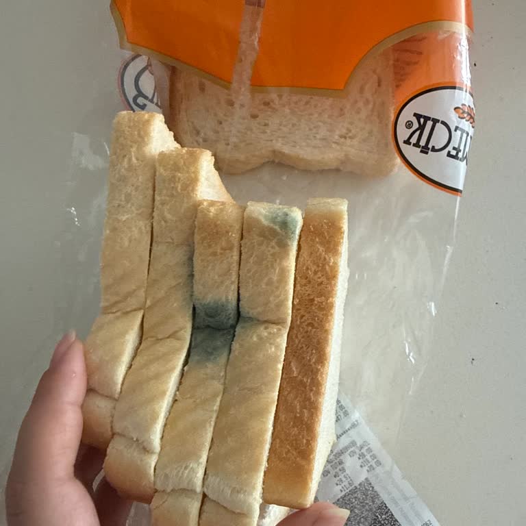 BİM Avcılar Şubesinde Küflü Tost Ekmeği