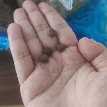 Patidepom.com'dan Gelen Sahte Nd Tropical Selection Kedi Maması İçin Ücret İadesi Talebi