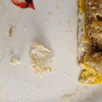 UNO Ekmeğinde Naylon Parçası Bulundu: Hijyen Ve Güvenlik İhlali