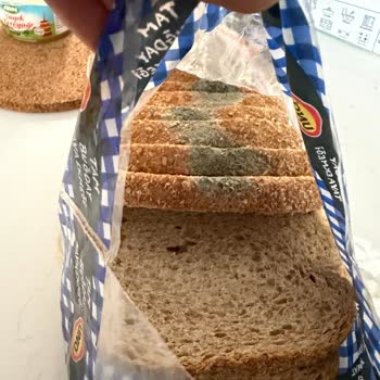 Migros Didim Kipa AVM’de Küflü Ekmek: Ürün Değişimi Ve İade Talebi