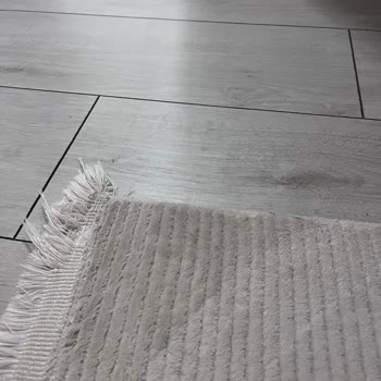 Roborock S8 Pro Halı Kenarlarını Islatıyor Ve Zarar Veriyor