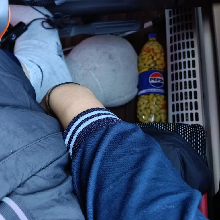 Lüks Karadeniz Şoförünün Saygısız Davranışı