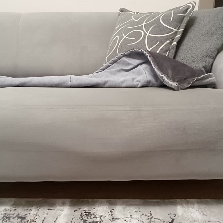 Garanti Kapsamındaki Koltuk Minderindeki Çökme İçin Tamir Ve Değişim Talebi
