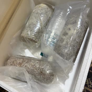 Bozulmuş Kavurma Ve Sağlık Riski Nedeniyle Tam İade Ve İnceleme Talebi
