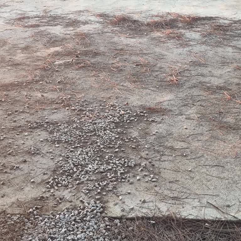 Nefes Orman İstanbul’da Yüksek Otopark Ücreti Ve Kısıtlayıcı Oturma Politikası Şikayet Ediliyor
