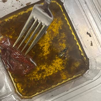 Peynirci Baba Şubesinde Ölü Arı Bulunan Kurutulmuş Domates Ürünü Ve Personelin Saygısız Tutumu