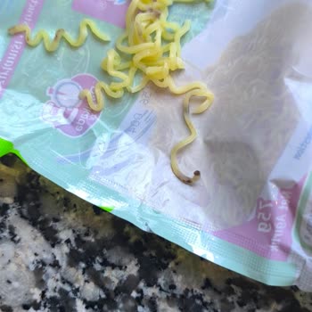 İndomie Sebzeli Noodle İçinde Solucan Benzeri Yabancı Madde Tespiti