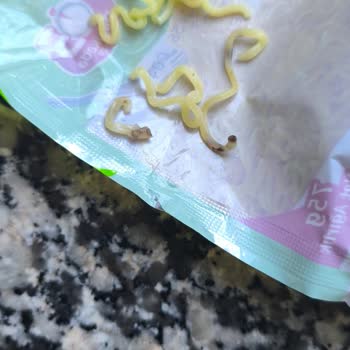 İndomie Sebzeli Noodle İçinde Solucan Benzeri Yabancı Madde Tespiti