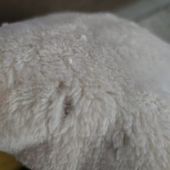 Yanıltıcı Peluş Battaniye Ve Kargo Ücreti Talebi Nedeniyle İade Reddine Şikayet