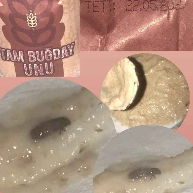 Sinangil Ununda Böcek Sorunu Ve Hijyen Endişesi