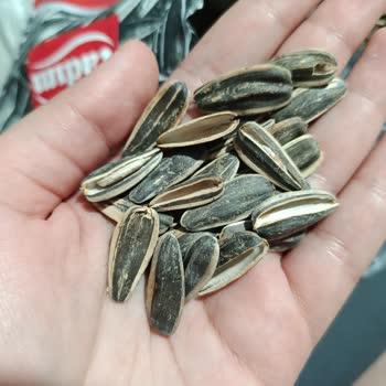 Tadım Ay Çekirdeği Paketi Yarı Boş, A101'de Satıldı Ve Şikayetime Cevap Gelmedi