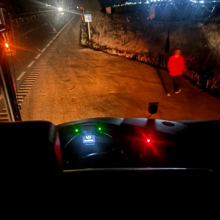 Buzlu Turizm Otobüsünde Motor Arızası Ve Uzun Bekleme Süresi Nedeniyle İade Talebi