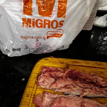 Migros İstanbul Kartal Şubesindeki Palamutların Kalitesizliği Ve İade Talebi