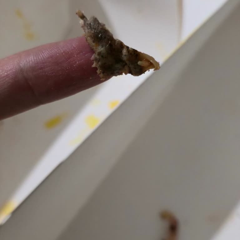 Mogaf Hatay Döner Gelen Dürümlerde Küflü Tavuk Derisi Ve Eksik Soslar, Ücret İadesi Talebi