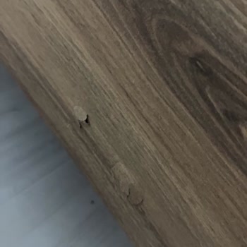 Kuzgun Evden Eve Nakliyat Neredeyse Sağlam Eşya Bırakmadılar