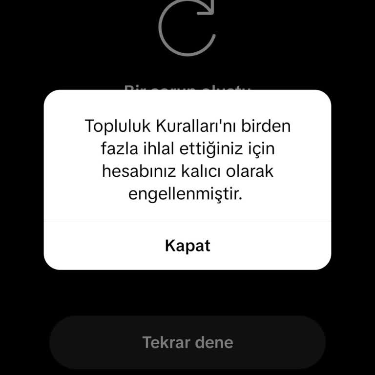 TikTok Hesaplarım Açıklama Ve İtiraz Şansı Olmadan Kalıcı Kapatıldı