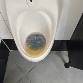 Sultangazi Opet İstasyonunda Tuvalet Hijyeni Sorunu