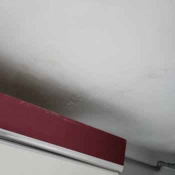 Kestel'de Kanalizasyon Sızıntısı Nedeniyle Sürekli Su Çatması Ve Küf Sorunu