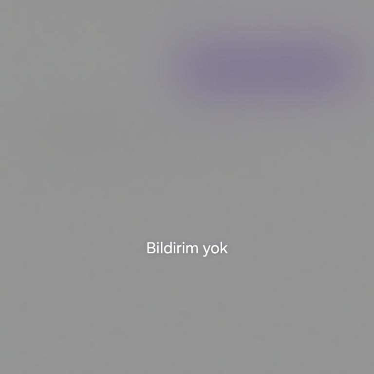 Batı Ege Bilişim Pazar Günleri Sürekli İnternet Kesintisi Ve Destek Yetersizliği