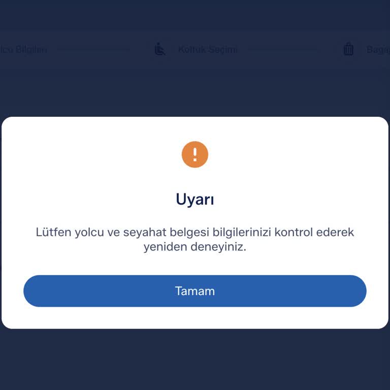 Ajet Hava Yolları’nda Sistem Hatası Nedeniyle Mükerrer Bilet Ücreti Ve Ek Müşteri Hizmeti Masrafı İadesi Talebi