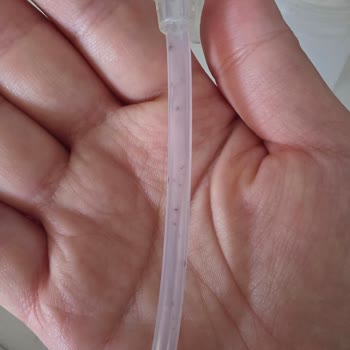 Munchkin Pipetli Alıştırma Bardağındaki Silikon Pipet Küflendi Ve Temizlenemiyor