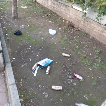 Çocuk Parkında Bira Şişeleri Ve Çöplerin Temizlenmesi Ve Güvenlik Denetimi Talebi