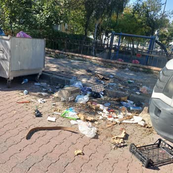 Çocuk Parkında Bira Şişeleri Ve Çöplerin Temizlenmesi Ve Güvenlik Denetimi Talebi