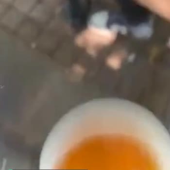 Black Bruin Bu Durumdan Şikayetçiyim