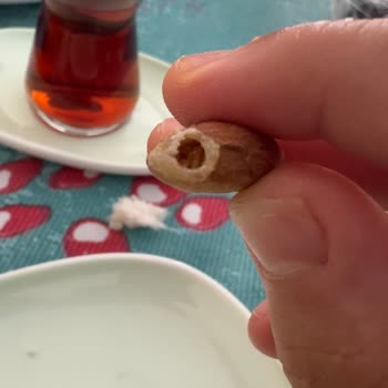 Çitlekçi'den Gelen Çiğ Badem, Kaju Ve Fındıkta Kurt Ve Bozukluk: Sağlık Riski Ve İade Talebi