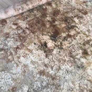 Hakan Halı Yıkama Bornova Hem Hizmet Kalitesi Hem de Müşteriyle İletişim Açısından Kötü