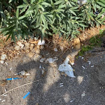 Wyndham Perili Bay Oteli Çevresinde Sezon Boyunca Temizlenmemiş Plastik Atıklar