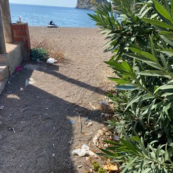 Wyndham Perili Bay Oteli Çevresinde Sezon Boyunca Temizlenmemiş Plastik Atıklar