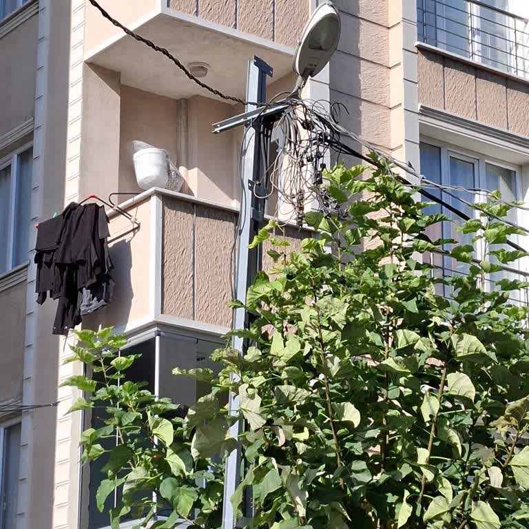 Sultangazi Sokak Aydınlatması Çalışmıyor Ve Ağaç Dalları Elektrik Tehlikesi Oluşturuyor