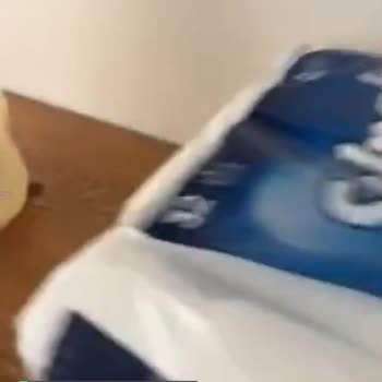 Selpak Tuvalet Kağıdı Kirliliği