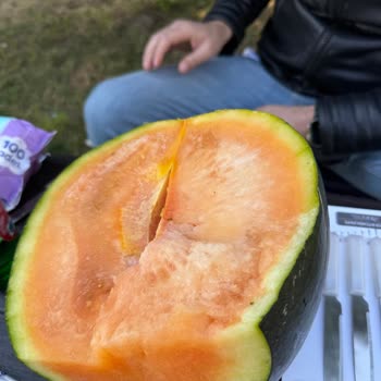 Karpuz Görünüşü Kabak Gibi Çıktı; Kalitesiz Ürün Ve Güven Sorunu