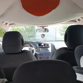 Citroen C4 Tavan Döşemesi Ayrılma Sorunu Ve Ücretsiz Değişim Talebi