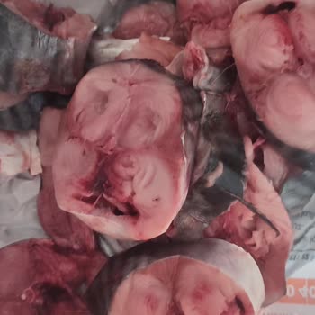 Migros MJet Mağazasında Bayat Palamut Balığı Ve Kaba Yönetici Davranışı
