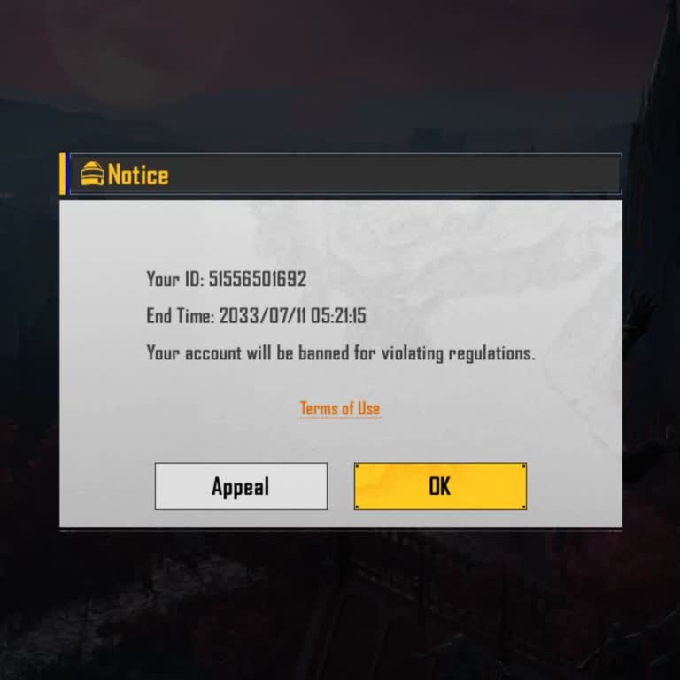 PUBG MOBILE Permanent Ban Complaint and Account Review Request