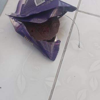Torku Gala Kekte Kablo Çıkması Ve Küflenme Sorunu