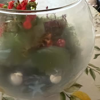 Çiçek Sepeti Doğum Günü Hediyesi Olarak Gelen Teraryum Görseliyle Uyuşmayan Kalitesiz Ürün