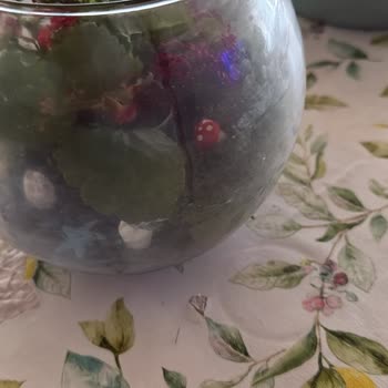 Çiçek Sepeti Doğum Günü Hediyesi Olarak Gelen Teraryum Görseliyle Uyuşmayan Kalitesiz Ürün